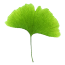 Paysagiste ANGERS 49