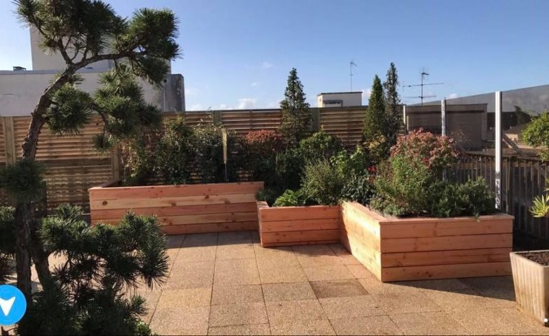 Bacs en bois douglas sur terrasse en centre ville
