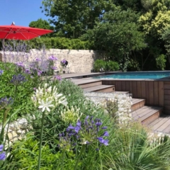 Abords de piscine fleuris Abords de piscine fleuris