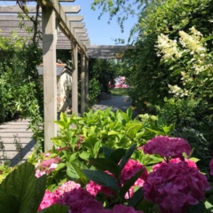 Jardin sous pergolas Jardin sous pergolas