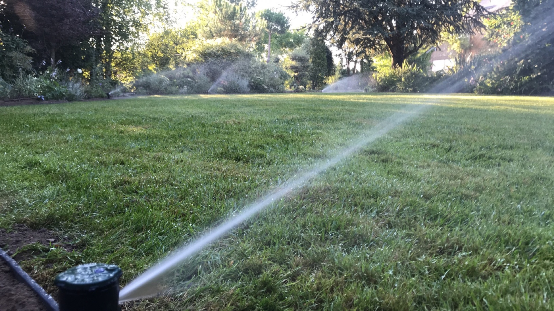 Arrosage intégré de gazon