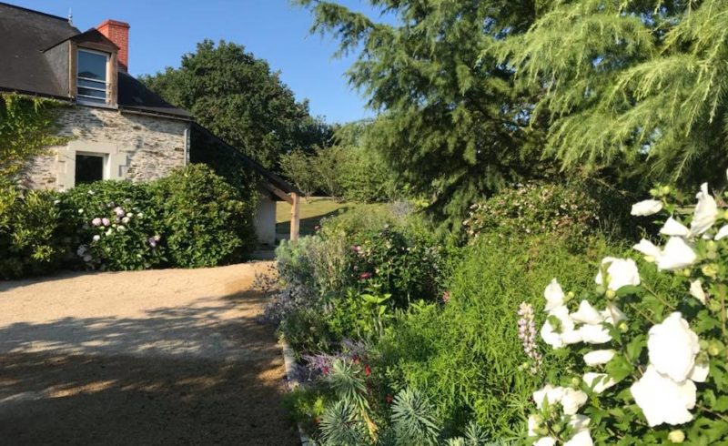 Entretien Jardin Paysagiste