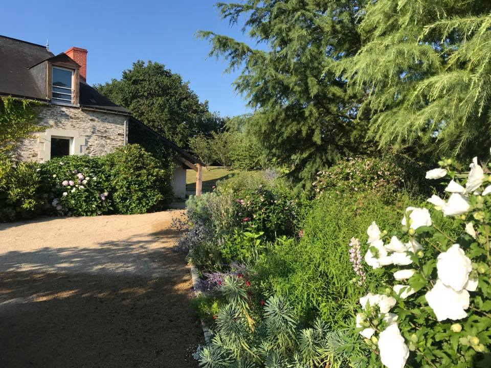 Entretien Jardin Paysagiste